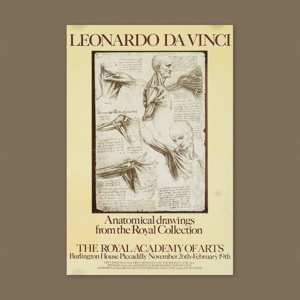 Leonardo Da Vinci: Anatomical drawings from the Royal Collection (1977) Exhibition Poster
