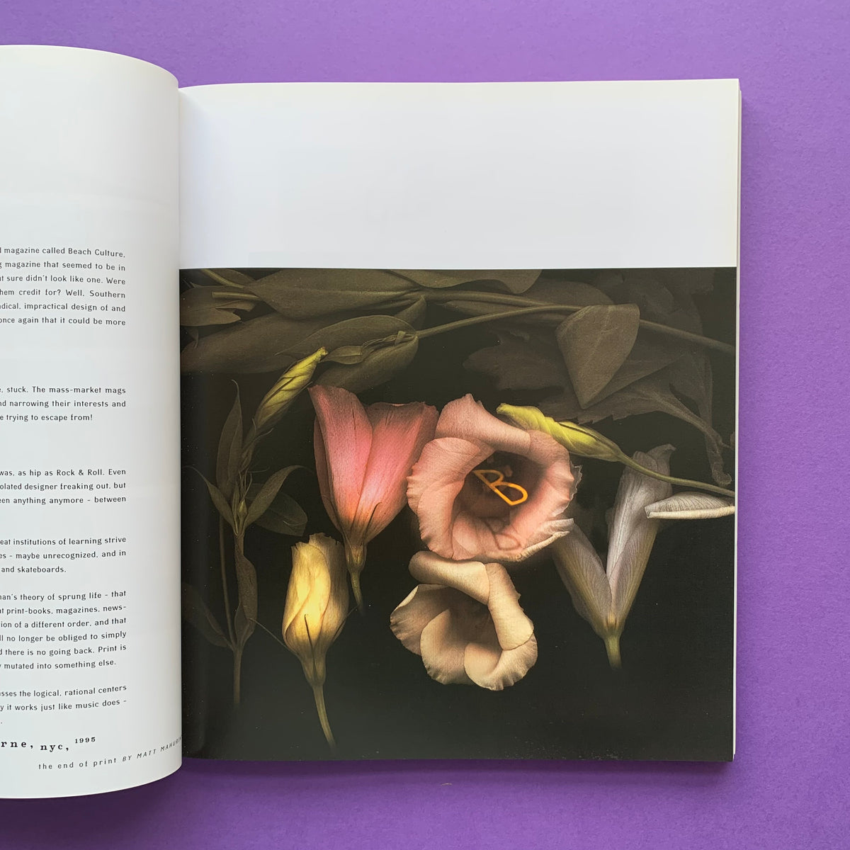 The End of Print: the Grafik Design of David Carson (Edition 2nd