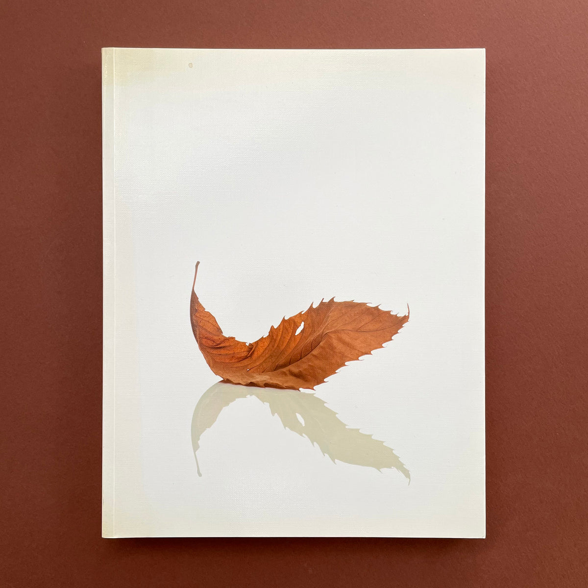 Designed by Peter Saville 英国Frieze版 Designed by Peter Saville by Peter Saville | Village. Leeds, UK