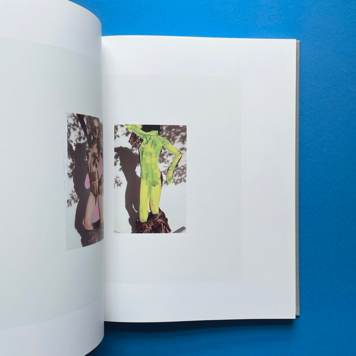 ヴィヴィアンサッセン　roxane IIサイン入り写真集 ヴィヴィアンサッセン roxane IIサイン入り写真集 ROXANE Ⅱ / Viviane