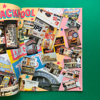 Baseline 12: St Brides issue (Newell & Sorrell)