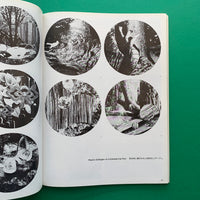 IDEA 144, 1977.9 (Takeo Yao)