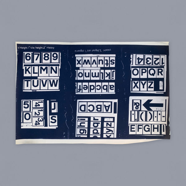 Transport Medium, Photoprint v3 (Ministry of Transport)