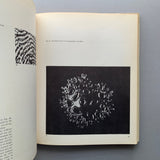 Education of Vision (Gyorgy Kepes)