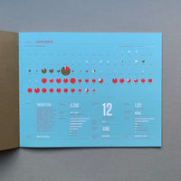 Nicholas Feltron 2010 Annual Report