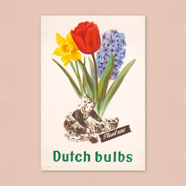 Dutch Bulbs (1950s) Advertising Poster *