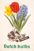 Dutch Bulbs (1950s) Advertising Poster