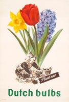 Dutch Bulbs (1950s) Advertising Poster *