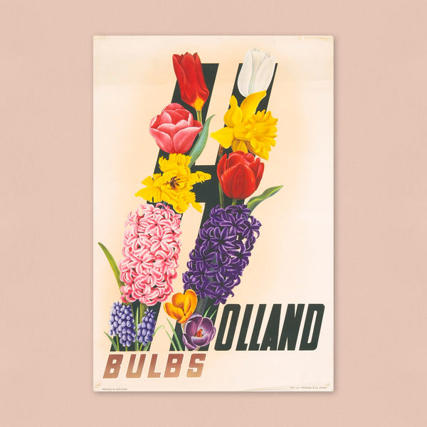 Holland Bulbs (1950s) Advertising Poster *