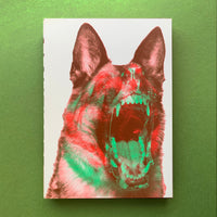 Sagmeister: Made You Look