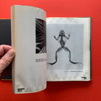Bauhausbücher 8: Malerei Fotografie Film (Walter Gropius, L. Moholy-Nagy) 1st EDITION