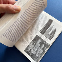 Modern Architecture: A Critical History