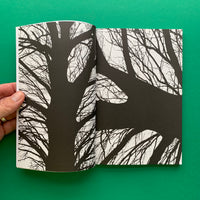 Co Headline - A collaboration by Dalton Maag and North