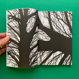 Co Headline - A collaboration by Dalton Maag and North