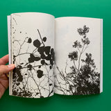Co Headline - A collaboration by Dalton Maag and North