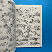 Fairburn Figures: The Fairburn System of Visual References (Set 1)
