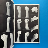 Fairburn Figures: The Fairburn System of Visual References (Set 1)
