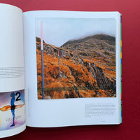 FAC461 Factory Records: The Complete Graphic Album