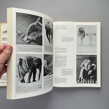 The art of creative advertising: A visual/verbal problem-solving approach