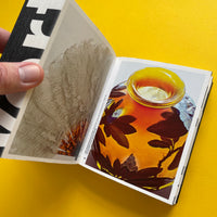 Every Thing Design: The Collections of the Museum für Gestaltung Zürich (Irma Boom)