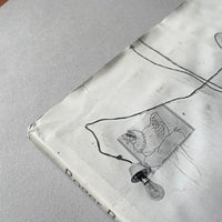 Roger Ballen’s Theatre of the Absurd