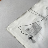 Roger Ballen’s Theatre of the Absurd