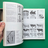 Graphis Annual 80/81 (Walter Herdeg)