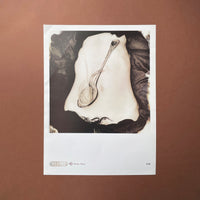 Pixies: Nine Posters - illustrating lyrics from the Doolittle album [Posters] Vaughan Oliver