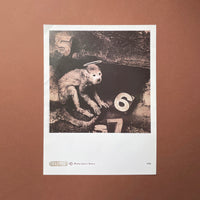 Pixies: Nine Posters - illustrating lyrics from the Doolittle album [Posters] Vaughan Oliver