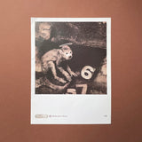Pixies: Nine Posters - illustrating lyrics from the Doolittle album [Posters] Vaughan Oliver