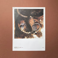 Pixies: Nine Posters - illustrating lyrics from the Doolittle album [Posters] Vaughan Oliver