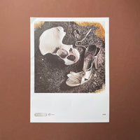Pixies: Nine Posters - illustrating lyrics from the Doolittle album [Posters] Vaughan Oliver