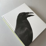 Religious Symbols / London Garden Birds / Numbers / Sexual Predators / Political Symbols, Jonathan Ellery
