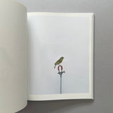 Religious Symbols / London Garden Birds / Numbers / Sexual Predators / Political Symbols, Jonathan Ellery