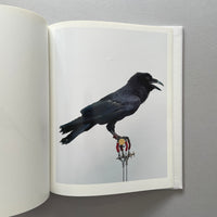 Religious Symbols / London Garden Birds / Numbers / Sexual Predators / Political Symbols, Jonathan Ellery