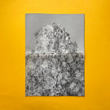D&AD Newsletter, March 1997 (Frost Design). Buy and sell the best graphic design books, journals, magazines and posters with The Print Arkive.