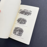 S. & C. Stephenson: Specimen & Scale Catalogue 1796–1797