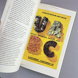 Typographie Hollandaise