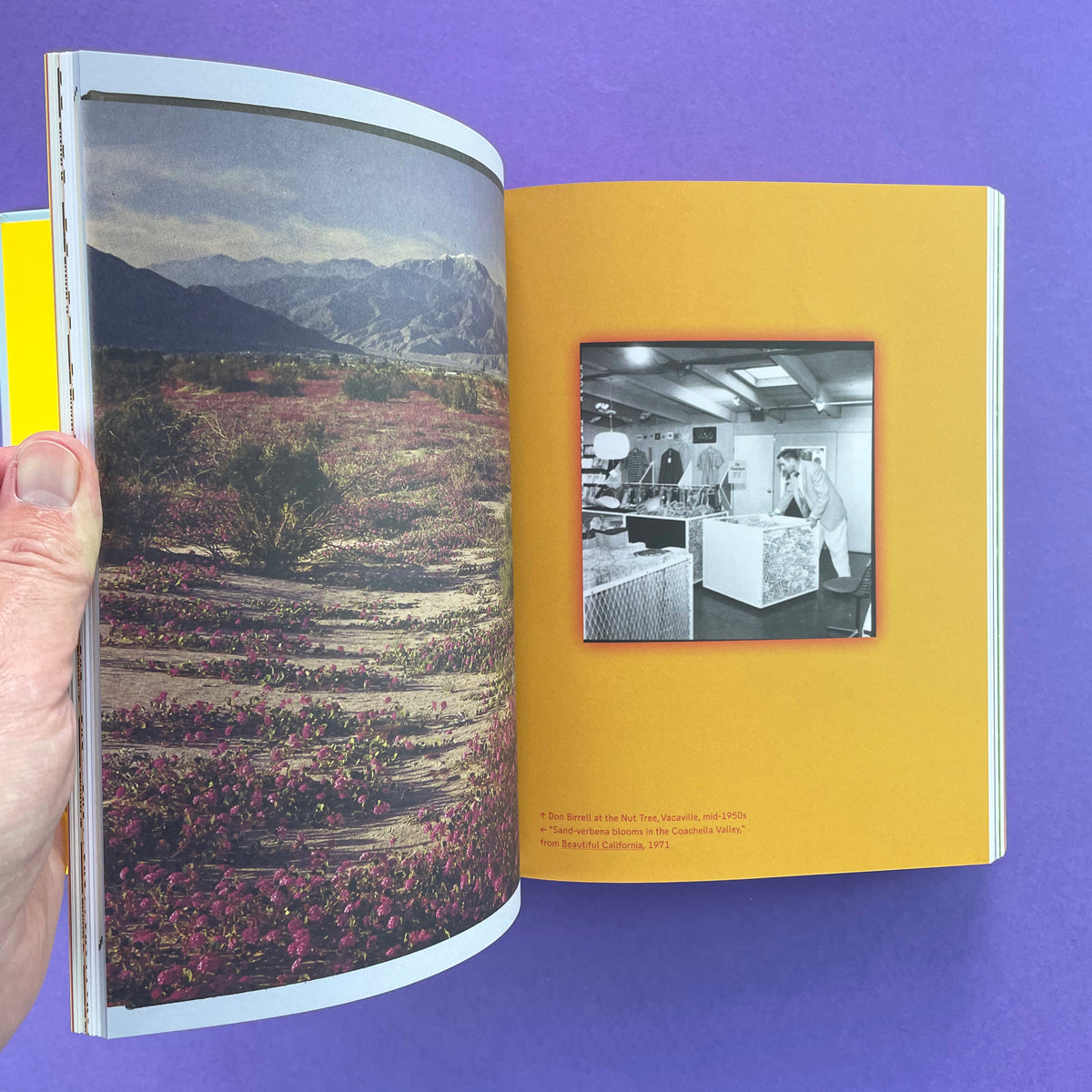 Earthquakes, Mudslides, Fires and Riots: California & Graphic Design ...