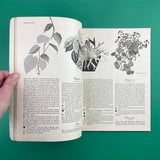 Plants Indoors: Architectural Review Special Number, n.665, May 1952 (FHK Henrion Design)