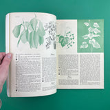 Plants Indoors: Architectural Review Special Number, n.665, May 1952 (FHK Henrion Design)