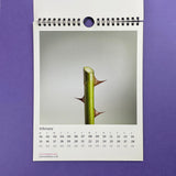Mytton Williams, Topless Calendar 2010