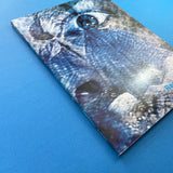 Revision: Art Programmes of European Television Stations