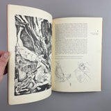 Typographica 13, 1957 [Old Series]