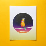 Our curiosity got the better of us’, La Boca [NB Studio]. Buy and sell the best original vintage posters and prints with The Print Arkive.