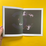 Craig Ward, Words Are Pictures