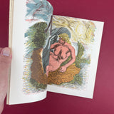 Image: A Quarterly of the Visual Arts, No.6 1951