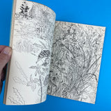 Image: A Quarterly of the Visual Arts, No.4 1950
