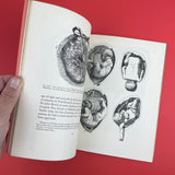Image: A Quarterly of the Visual Arts, No.3 1949