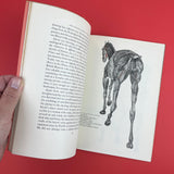 Image: A Quarterly of the Visual Arts, No.3 1949